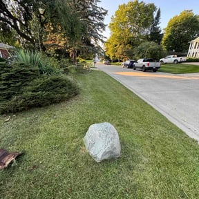 yard service by Eric's Lawn Care reviewed on August 19, 2025