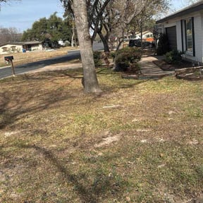 Leaf Removal by Jds Landscaping Services LLC reviewed on March 19, 2026