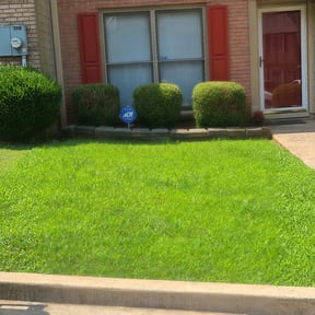 Bush Trimming by GREEN GUYS LAWN CARE reviewed on August 18, 2025