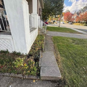 Flower Bed Weeding by Greene Enterprise reviewed on November 21, 2025