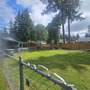 turf care by lowcuts@gmail.com reviewed on August 15, 2025