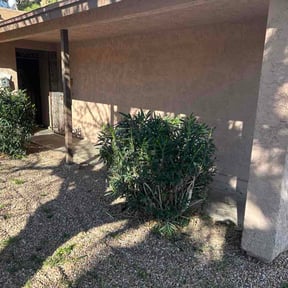 Bush Trimming by Casa Verde Customs reviewed on March 6, 2026