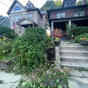 Bush Trimming by Green space reviewed on August 19, 2025