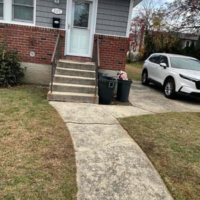 Leaf Removal by A&amp;M reviewed on November 23, 2025