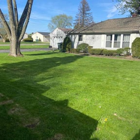landscaping services by The Grass Krew reviewed on August 17, 2025