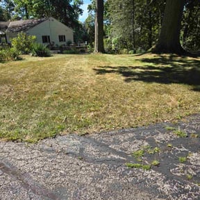 Leaf Removal by One Tough Mama Landscaping reviewed on September 20, 2025