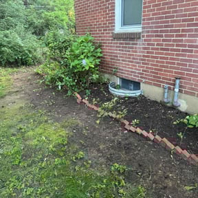 Leaf Removal by Can’t Stop Me Inc. reviewed on September 14, 2025