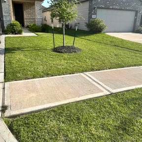 lawn maintenance by Spring lawn care reviewed on June 6, 2025