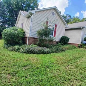 Bush Trimming by Pristine touch/landscaping reviewed on October 24, 2025