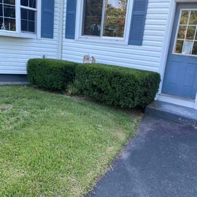 Bush Trimming by García-G lawn care service LLC reviewed on August 18, 2025