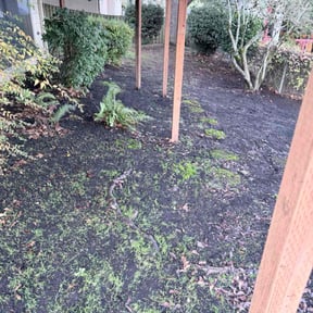 Leaf Removal by Raul's Lawn Care and Design  reviewed on December 6, 2025