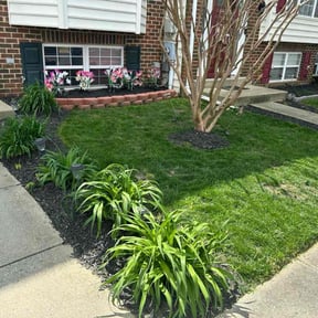 yard maintenance by BnB So. Cal reviewed on May 3, 2024