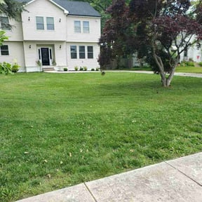 yard care by Green Horizon Lawn Care reviewed on August 15, 2025