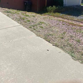 Flower Bed Weeding by Chris & Tony Lawntastic service LLC reviewed on August 15, 2025