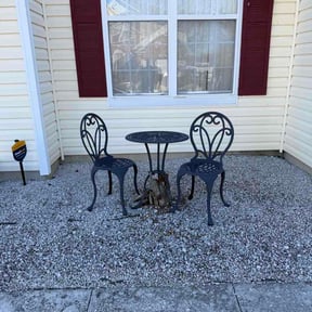 Flower Bed Weeding by Flowers Lawn and Landscape reviewed on March 20, 2026