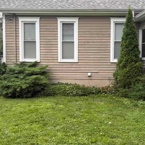 Bush Trimming by Hbm home solutions reviewed on August 14, 2026