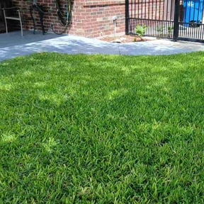 landscaping services by Dinos Lawn Service reviewed on August 15, 2025