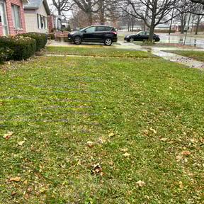 Leaf Removal by Nestel Lawn Care reviewed on August 15, 2025