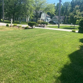 yard service by Texas Services SA reviewed on August 20, 2025