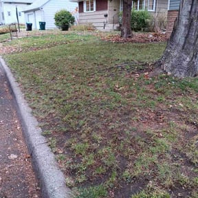 Leaf Removal by Everything you need LLC reviewed on September 9, 2025