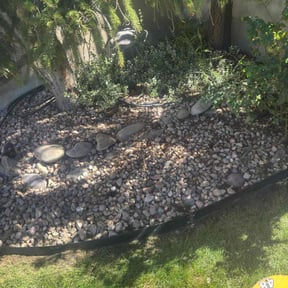 Flower Bed Weeding by Thomas Kelly Home Services reviewed on November 18, 2025