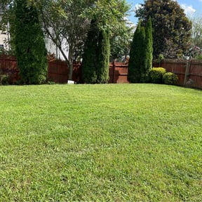 lawn maintenance by Get Right Landscape reviewed on July 21, 2025