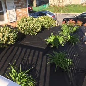 Flower Bed Weeding by Fugit Lawn Care LLC reviewed on August 17, 2025