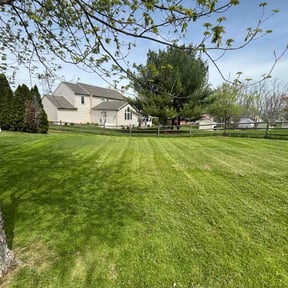 landscape maintenance by Irvine Lawn Service reviewed on August 17, 2025