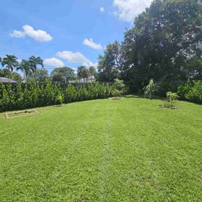 yard work by Lou Tel Landscaping and Design reviewed on December 6, 2025