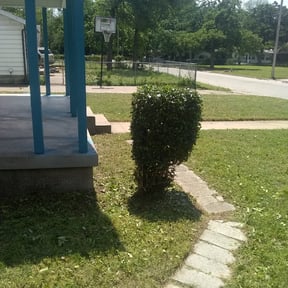 Bush Trimming by J's Clean Cut Yards reviewed on August 21, 2025