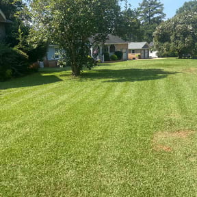 grass cutting by Golden Lion's reviewed on April 22, 2024