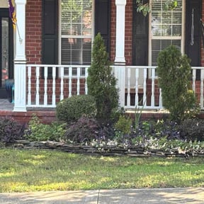 Bush Trimming by Jeremiah Williams reviewed on January 28, 2026