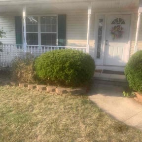 Bush Trimming by Walker's Lawn Care LLC reviewed on August 3, 2025