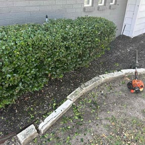 Bush Trimming by Cut'em Up Lawn Service reviewed on August 16, 2025