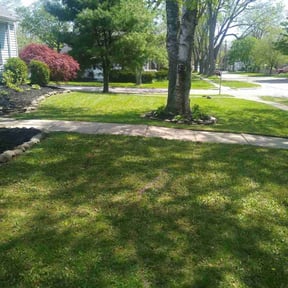 yard work by Verde lawn care reviewed on August 18, 2025