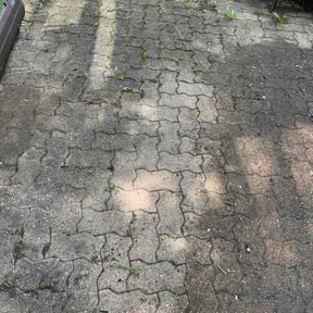 Leaf Removal by Henry Jimenez reviewed on April 29, 2026