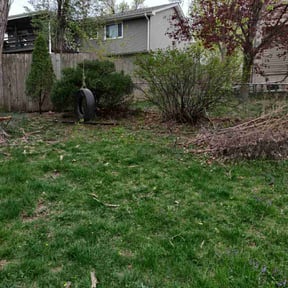 Bush Trimming by Troy's Lawn Care reviewed on August 14, 2025