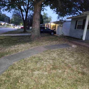 Leaf Removal by Lawn Pro grounds management reviewed on November 18, 2025