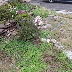 Flower Bed Weeding by Bakers lawn service reviewed on October 24, 2025