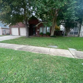 yard care by NMH Renovations&amp;landscaping LLC reviewed on November 24, 2025