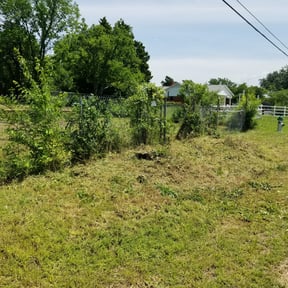 Bush Trimming by Perry’s Landscaping LLC reviewed on August 20, 2025