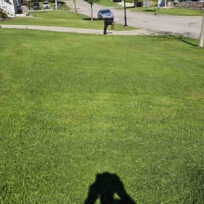 yard care by Livery Services LTD, llc reviewed on August 21, 2025