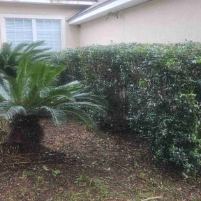 Bush Trimming by Weekend Warrior Landscaping reviewed on August 21, 2025