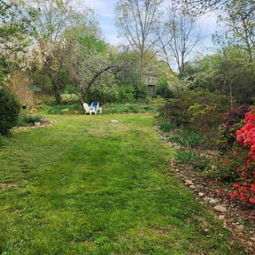 yard care by Brandon’s property services reviewed on August 15, 2025