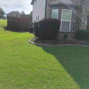 Bush Trimming by AMERICA'S BEST LAWN SERVICE LLC reviewed on August 18, 2025
