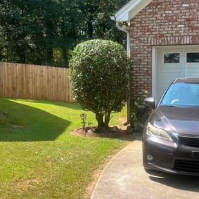 Bush Trimming by Mow N Go Lawn Care reviewed on October 20, 2025