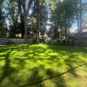 landscape maintenance by Var Landscape reviewed on August 19, 2025