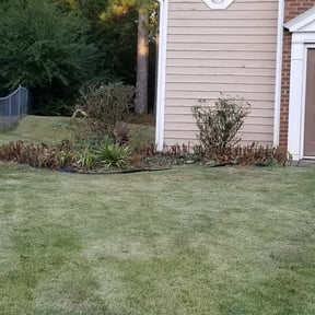 Bush Trimming by Getyourlawncut.com reviewed on August 15, 2025