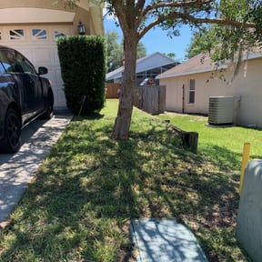 Bush Trimming by Heaven lawn care reviewed on August 16, 2025