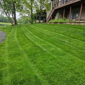 yard work by PNC Delivery Express reviewed on August 19, 2025